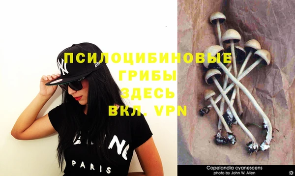 мяу мяу кристалл Абаза