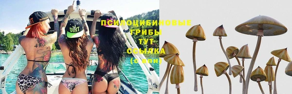 герыч Абдулино