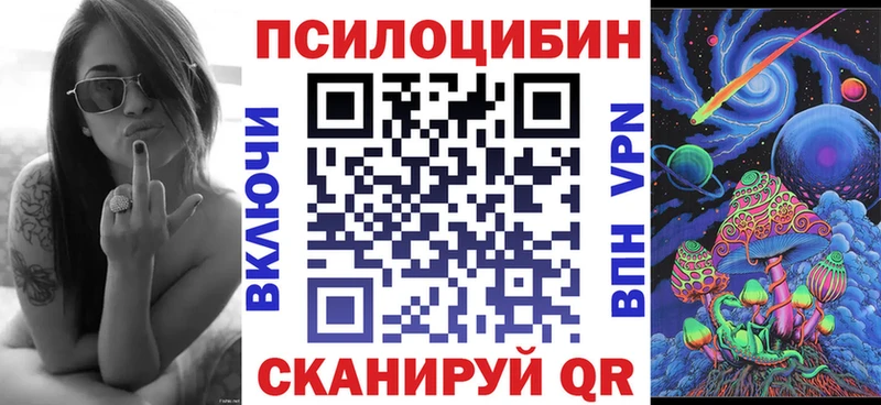 продажа наркотиков  Фурманов  Галлюциногенные грибы Psilocybine cubensis 